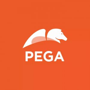 Pega Exam Support